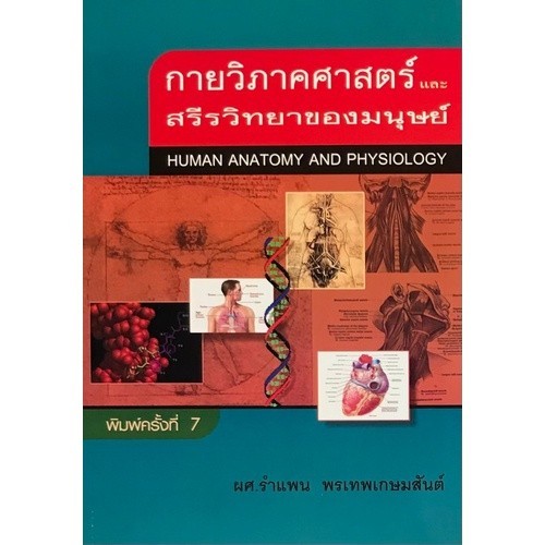 Chulabook|c111|หนังสือ|กายวิภาคศาสตร์และสรีรวิทยาของมนุษย์ 9789742557492