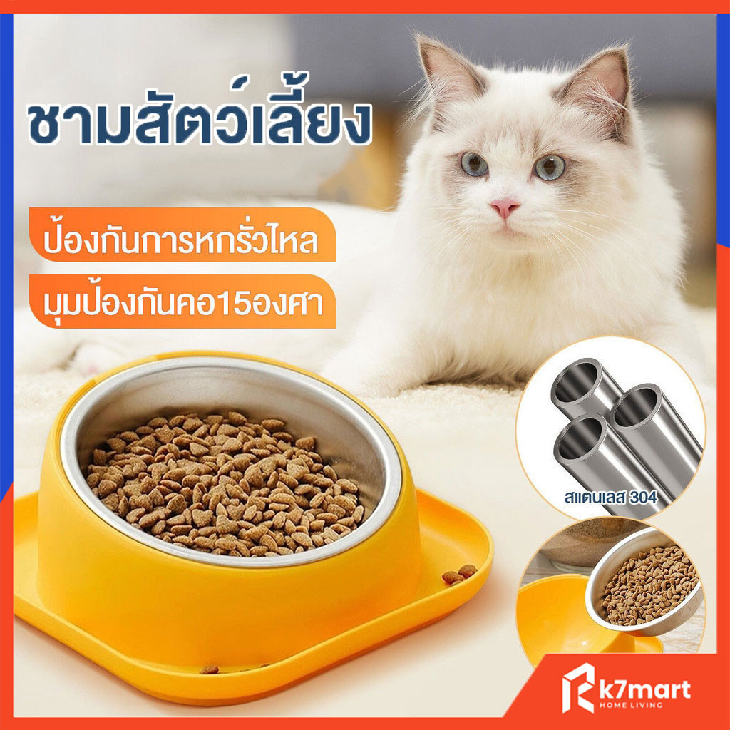 ชามอาหาร ชามข้าวสัตว์เลี้ยง กันมด กันหก หมา แมว Pet Bowl