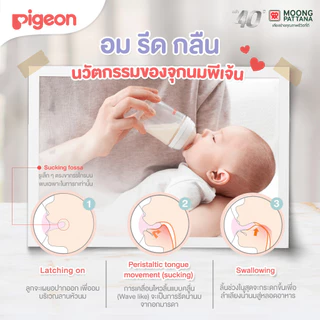 Pigeon พีเจ้น จุกนมเสมือนฯซอฟท์ทัส รุ่นพลัส ไซส์ SS/M/L/LL/LLL แพ็ค2