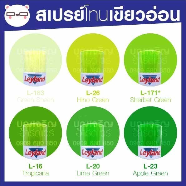 สีสเปรย์ เลย์แลนด์ / Leyland โทนสี เขียวอ่อน-เขียวตอง / เฉดสี เขียวอ่อน-เขียวตอง (เลแลน/layland)