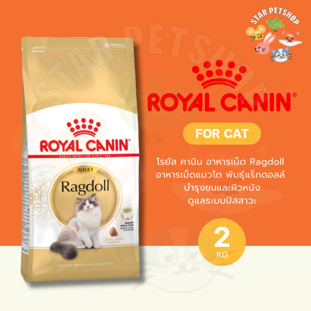 Royal Canin Ragdoll Adult โรยัลคานิน อาหารเม็ดแมวโต พันธุ์แร็กดอลล์ อายุ 1 ปีขึ้นไป ขนาด 2 kg.