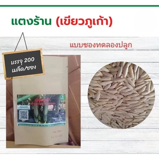 แตงร้านเขียวภูเก้า แตงร้านผลดก พร้อมส่ง