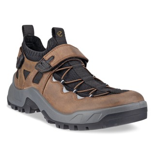 ECCO รองเท้ารุ่น ECCO OFFROAD M BROWN