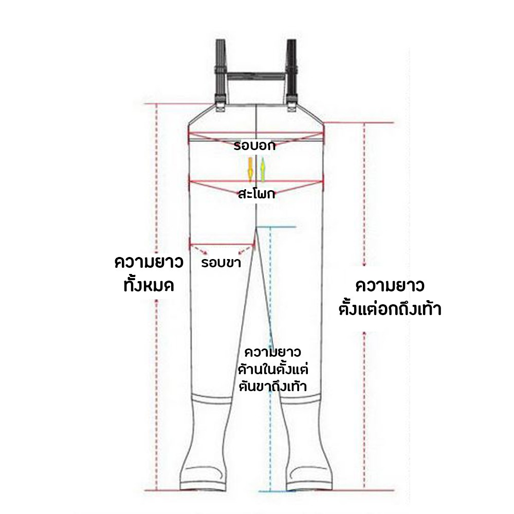 รูปภาพ 6