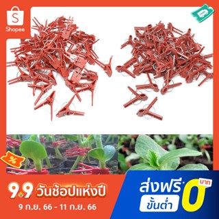 Pota 50Pcs/Set Plant Support Clips Plastic Plant Support Grafting Clips Eco-friendly