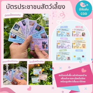 บัตรประชาชนหมา บัตรประชาชนแมว บัตรประชนนก บัตรประชาชนกระต่าย บัตรประชาชนสัตว์เลี้ยง อย่างดี Pet Identity Card