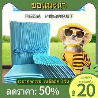 ◄ผ้าอ้อมสุนัข 100 ชิ้น ส่งฟรี อุปกรณ์สำหรับสัตว์เลี้ยงเท็ดดี้ ผ้าอ้อมดูดซับกลิ่นหนา แผ่นรองเปลี่ยนสัตว์เลี้ยง