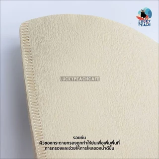 CAFEC Abaca Paper Filter [Cone Shape] White/Brown สินค้าของแท้จากญี่ปุ่น