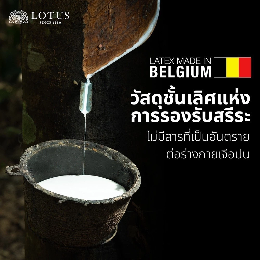 LOTUS ที่นอนยางพาราแท้ thumbnail 4