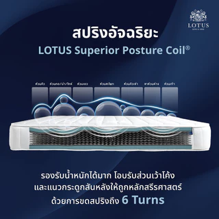 LOTUS รุ่น Angelus ที่นอนลดอาการปวดหลัง สัมผัสแน่นสบาย ส่งฟรี