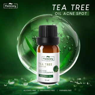 Plantnery Tea Tree Oil Acne Spot 10 ml แพลนท์เนอรี่ น้ำมันที ทรี เข้มข้น สำหรับ แต้มสิว