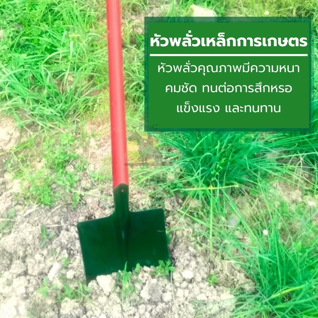 พลั่วทหาร พลั่วเกษตรขนาดใหญ่ thumbnail 3