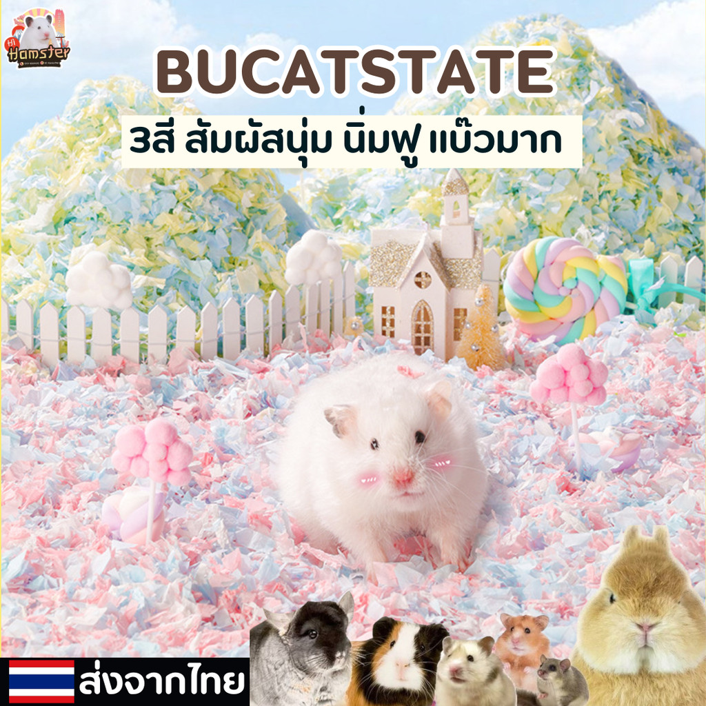 [Bucatstate] รองกรงแฮมสเตอร์ ชูก้า เม่นแคระ สำหรับสัตว์เล็ก สัตว์เลื่อยคลาน