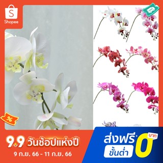 ดอกกล้วยไม้ประดิษฐ์ 9 หัว ไม่จางหาย ไม่จางหาย สําหรับตกแต่งบ้าน