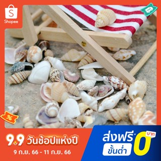 Pota หอยสังข์จิ๋ว สําหรับตกแต่งสวนบอนไซ 40 ชิ้น DIY