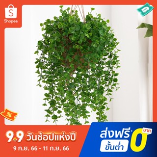 Pota ส้อมหวายปลอม 5 ตะเกียบ ใช้ซ้ําได้ ดูแลง่าย สําหรับตกแต่งเพดาน สํานักงาน DIY