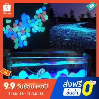 Pota 10Pcs Luminous Glowing Artificial Stone Aquarium Fish Tank Bonsai Garden Decor