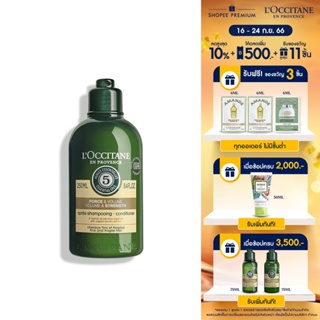 LOccitane Volume &amp; Strength Conditioner 250ml ล็อกซิทาน ครีมนวดผมสูตรเสริมความแข็งแรง เพิ่มความหนาให้กับผมเส้นเล็ก