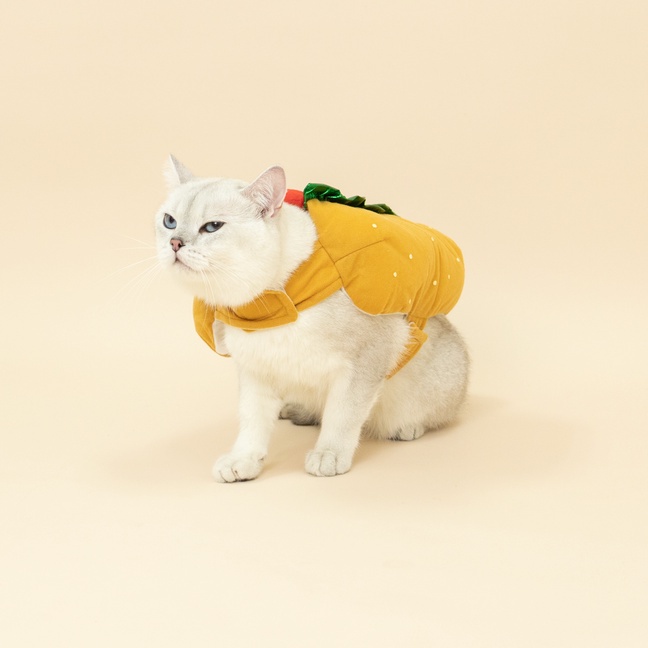 [สินค้าราคาพิเศษ] ชุดหมาแมวแฟนซี (Hotdog) ฮอทดอก ฮอทใจ | CLAWSET.BKK - รูปที่ 5