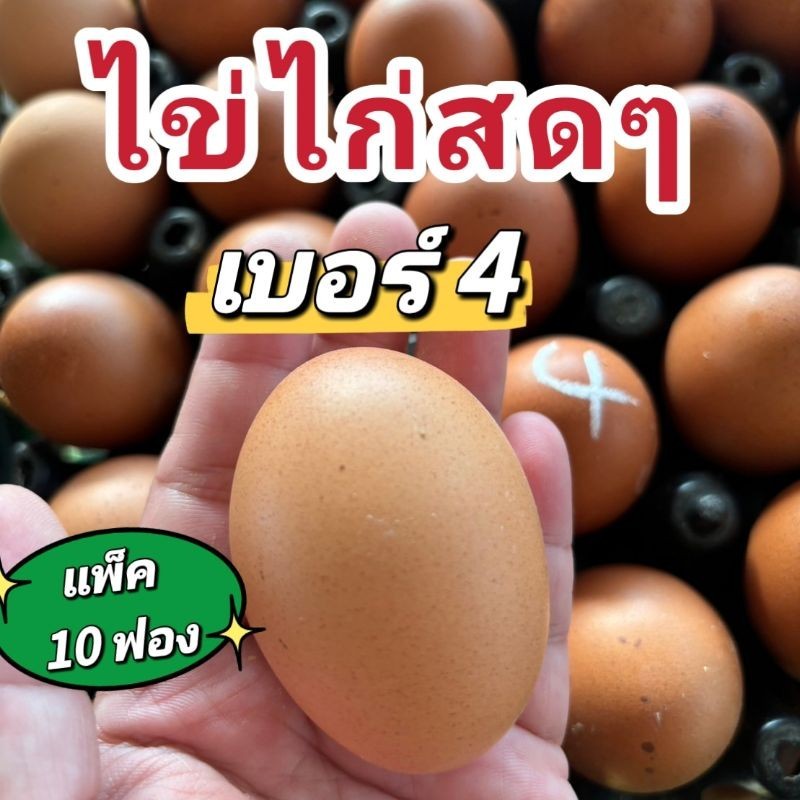 ไข่ไก่​สดๆ​ เบอร์4 (แพ็ค10ฟอง)​ (แพ็ค 30ฟอง)ไข่จากไก่สาว