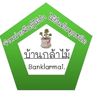 ต้นทับทิมแดงมารวย เพาะเม็ด 🎉ต้นแข็งแรง 🌿 สินค้าเสียหาย แจ้งทางร้านได้เลยจ้า