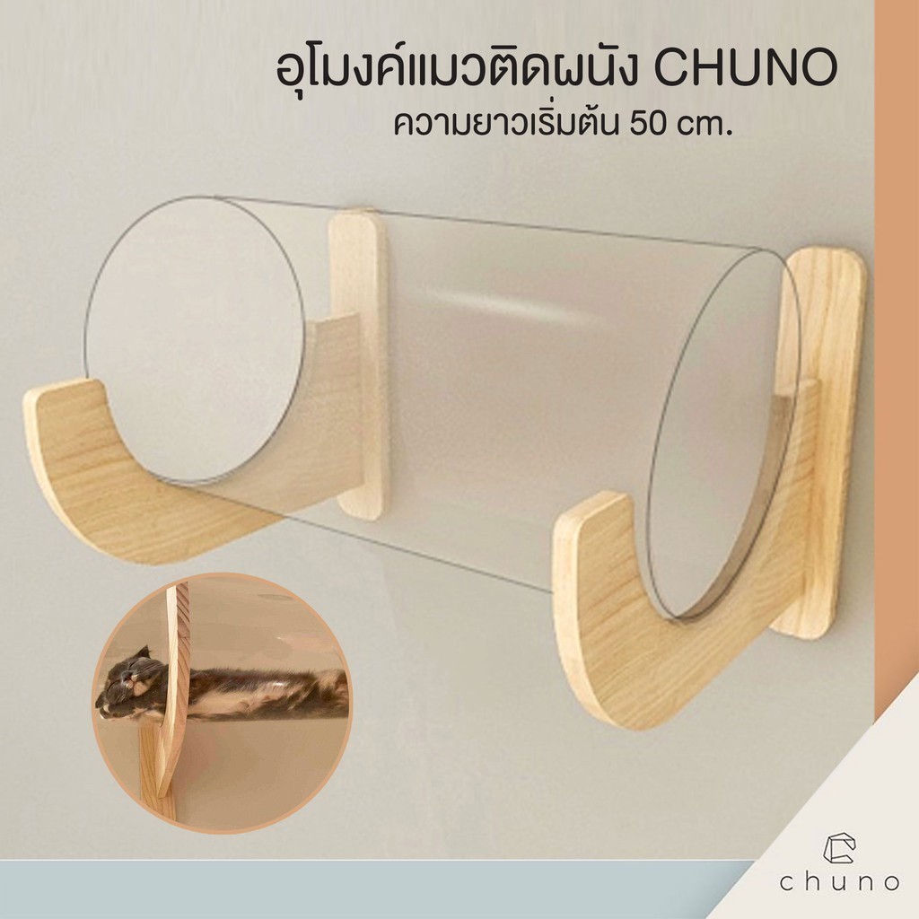 Chuno อุโมงค์แมวติดผนัง ไม้สนแท้พร้อม ท่ออะคริลิคใสยาว 50 cm