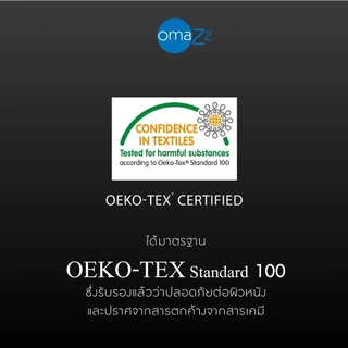 Omazz หมอนหนุน รุ่น Lofty Nano-down Fiber ส่งฟรี