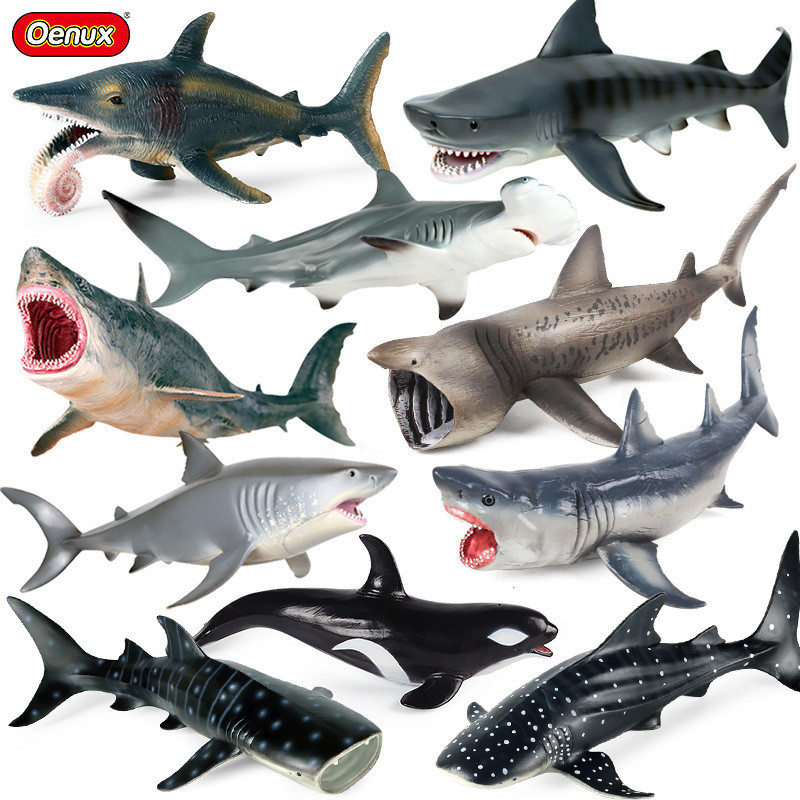 Simulation Marine Life Model Great White Shark Shark Megalodon Basking Shark Tiger Shark Blue Whale 