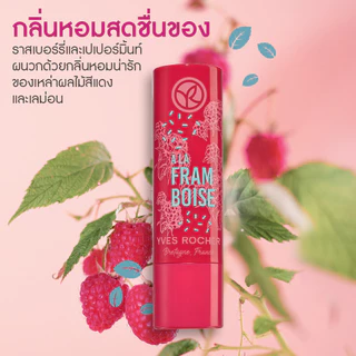 อีฟ โรเช Yves Rocher Nourishing Lip Balm Raspberry 4.8 กรัม ลิปมันบำรุงปาก กลิ่นราสเบอร์รี่ บำรุงริมฝีปากนุ่ม