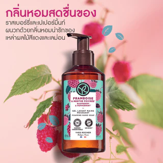 อีฟ โรเช Yves Rocher Raspberry & Peppermint Hand Soap 190 มล. โฟมล้างมือ กลิ่นราสเบอร์รี่-เปเปอร์มิ้นท์
