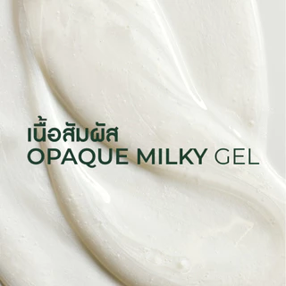 [แพ็คคู่] อีฟ โรเช Yves Rocher Smoothing Shampoo 300 มล. แชมพูลดผมชี้ฟู สมูธติ้ง - ดูแลปัญหาผมชี้ฟู