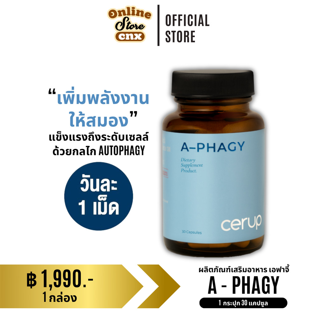 1 กระปุก (30 เม็ด) Cerup A Phagy (ซีรัป เอ-ฟาจี้) ผลิตภัณฑ์เสริมอาหาร บำรุงเซลล์ในร่างกาย ออโตฟาจี้