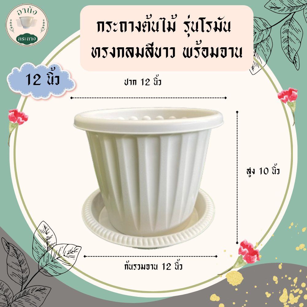 กระถางต้นไม้ รุ่นโรมัน ทรงกลมสีขาว พร้อมจาน ขนาด 12 นิ้ว