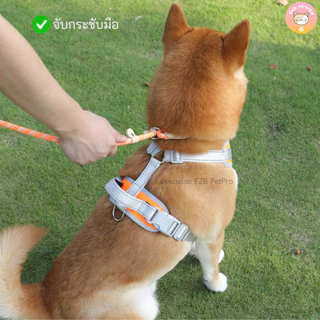 สายจูงสุนัข รูปตัวP สายจูงสัตว์เลี้ยงสำหรับฝึกสุนัข 11สี ยาว1.8เมตร A025