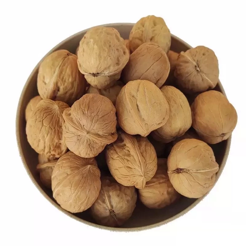 ลูกวอลนัท walnut 1kg ขนมนกแก้ว ชูการ์ แฮมสเตอร์ กระรอก สัตว์เลี้ยงฟันแทะ