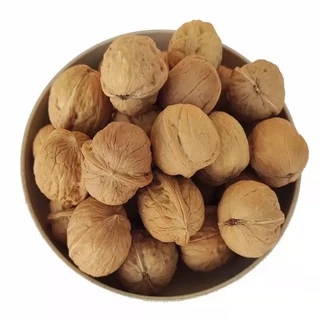 ลูกวอลนัท walnut 1kg ขนมนกแก้ว ชูการ์ แฮมสเตอร์ กระรอก สัตว์เลี้ยงฟันแทะ