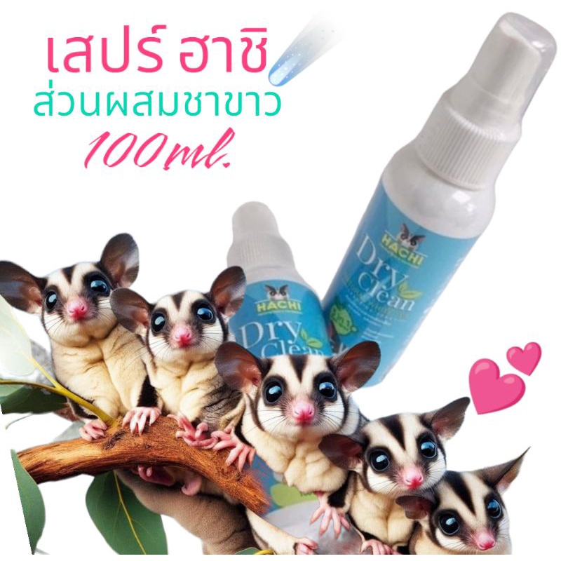 #สเปรย์ทําความสะอาดสัตว์เลี้ยง #Hachi #สเปรย์ทําความสะอาดแบบแห้ง #กลิ่นชาขาว #สัตว์เลี้ยงสะอาด