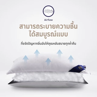 LOTUS หมอนหนุน รุ่น MicroDownia นุ่มดุจขนห่าน รองรับต้นคอ หลับสบายทุกคืน