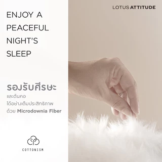 LOTUS ATTITUDE หมอนหนุนรุ่น Cottonism Pillow เย็นสบาย ลดภูมิแพ้ รองรับสรีระคอ ส่งฟรี
