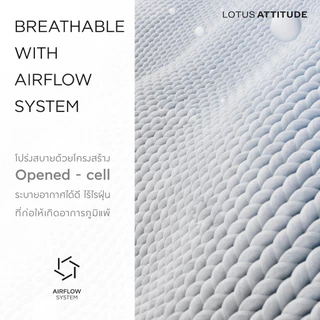 LOTUS ATTITUDE หมอนหนุนรุ่น Cottonism Pillow เย็นสบาย ลดภูมิแพ้ รองรับสรีระคอ ส่งฟรี