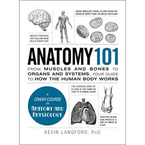 Chulabook|c321|หนังสือ|ANATOMY 101: FROM MUSCLES AND BONES TO ORGANS AND SYSTEMS, YO