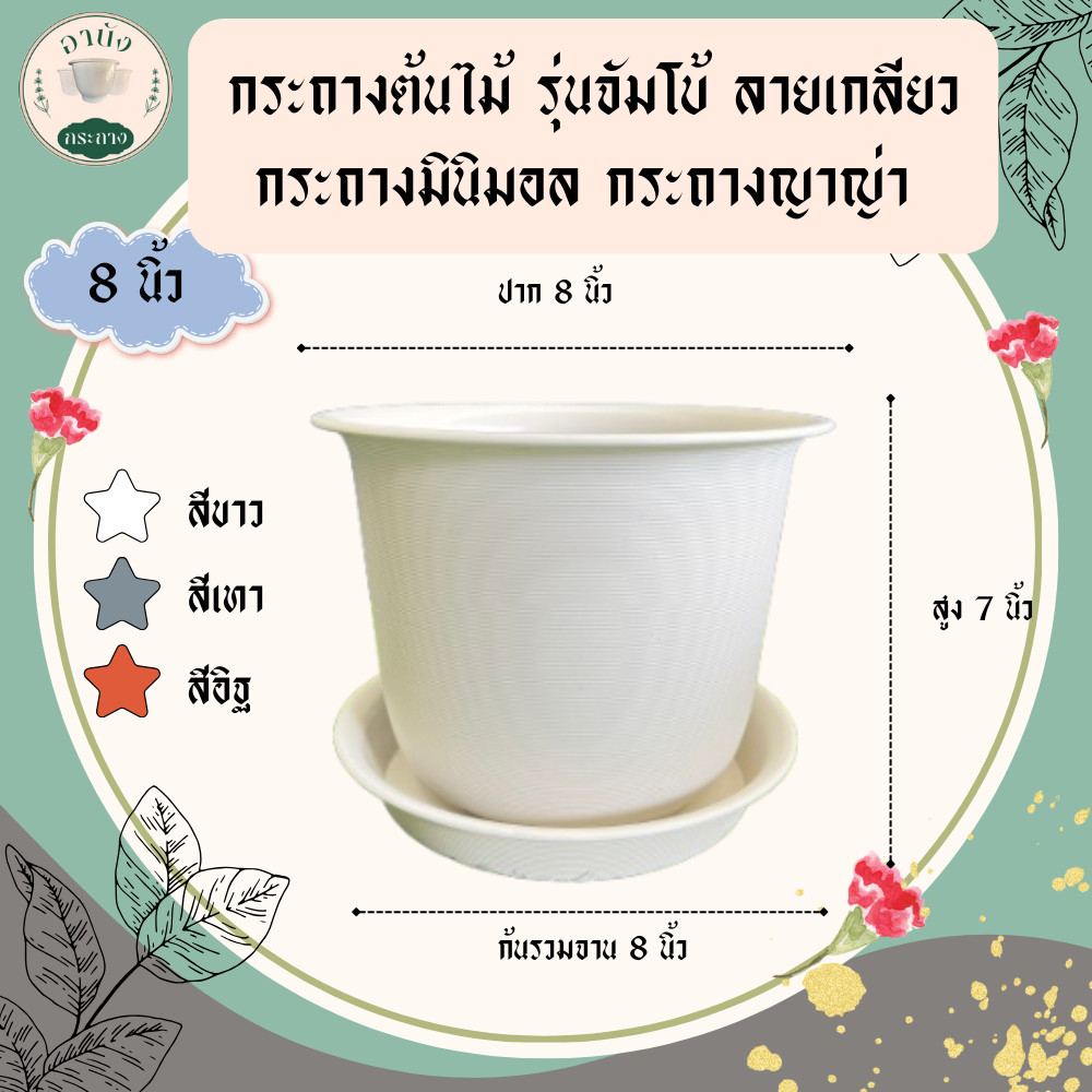กระถางต้นไม้ รุ่นจัมโบ้ ลายเกลียว กระถางญาญ่า กระถางมินิมอล พร้อมจาน ขนาด 8 นิ้ว