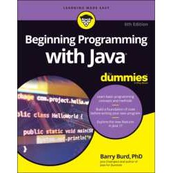 Beginning Programming with Java for Dummies (6TH) [Paperback]