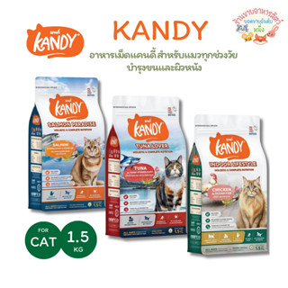 Kandy แคนดี้ อาหารแมวโฮลิสติก สำหรับแมวทุกช่วงวัย ไม่เติมเกล…