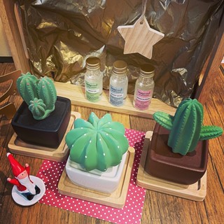 ชุดสุดคุ้ม LIVELY CACTUS SET 3 ชุดแคคตัสอโรม่าทำจากเซรามิก 3 ชุดพร้อมน้ำหอม ไม่รวมถาดไม้