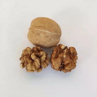 ลูกวอลนัท walnut 1kg ขนมนกแก้ว ชูการ์ แฮมสเตอร์ กระรอก สัตว์เลี้ยงฟันแทะ