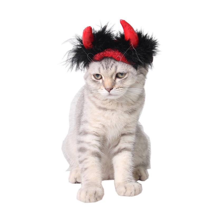 CLAWSET قبعة هالوين مصاص دماء للحيوانات (سعر خاص) — صورة 6