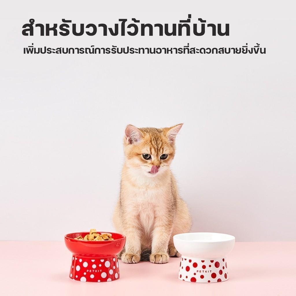navipet petkit Large Ceramic Bowl ชามใส่อาหารเซรามิก ถ้วยเซรามิก ชามเดี่ยวใส่อาหาร ชามแมว
