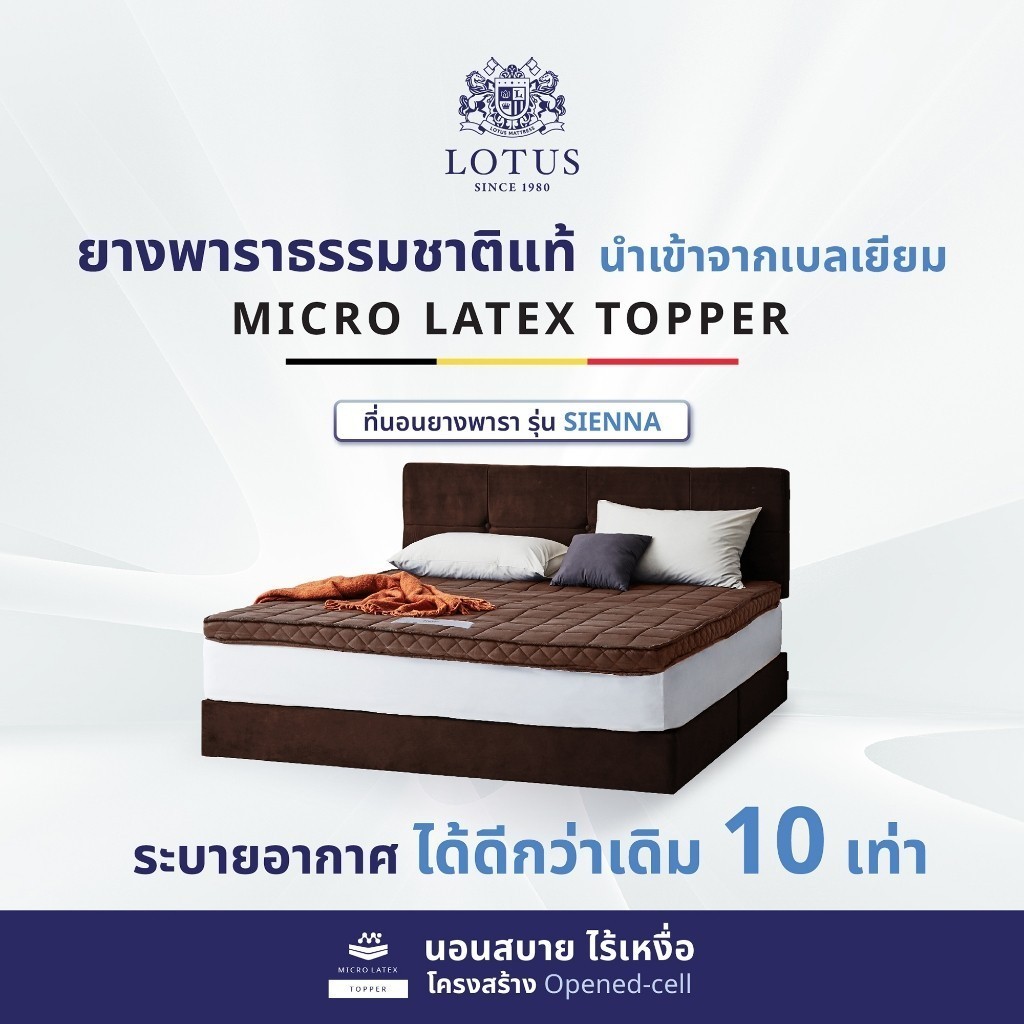 LOTUS ที่นอนยางพาราแน่นสบาย รุ่น Sienna หนา 4 นิ้ว Latex Made in Belgium ~ฟรีหมอนหนุนใยสังเคราะห์ ส่