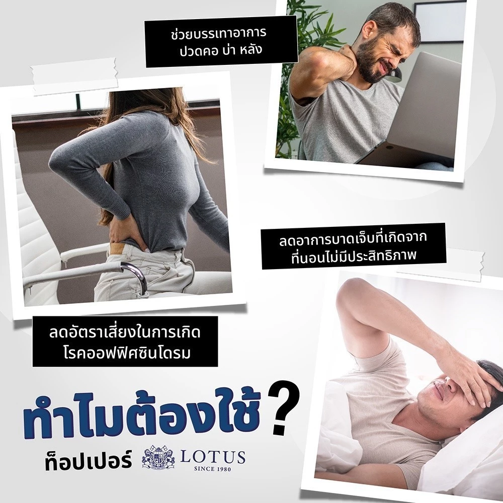 LOTUS ที่นอนยางพารา Latex Made In Belgium thumbnail 3